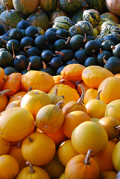 istock pumpkins,squash and gourds 133884658