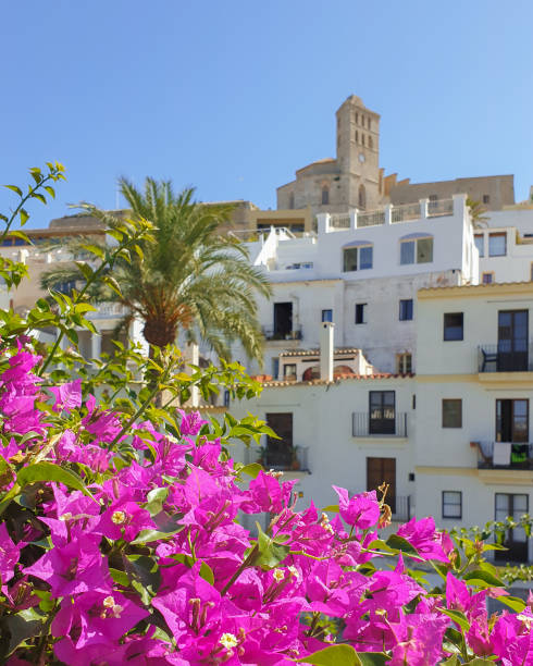 istock Flowers in Ibiza 1338846987