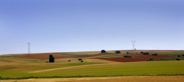 istock Golden and green cereal fields landscapes 1338847067