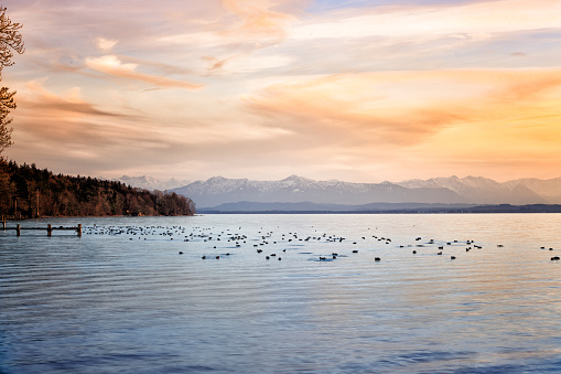 Lake Starnberg (Starnberger See), Germany, near Ammerland during dusk. Ducks in the water a jetty to the left. The European Alps in the background.