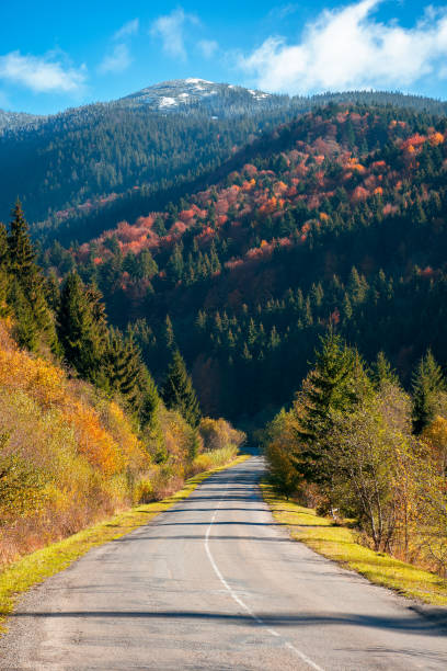 istock countryside road in mountains 1338851725