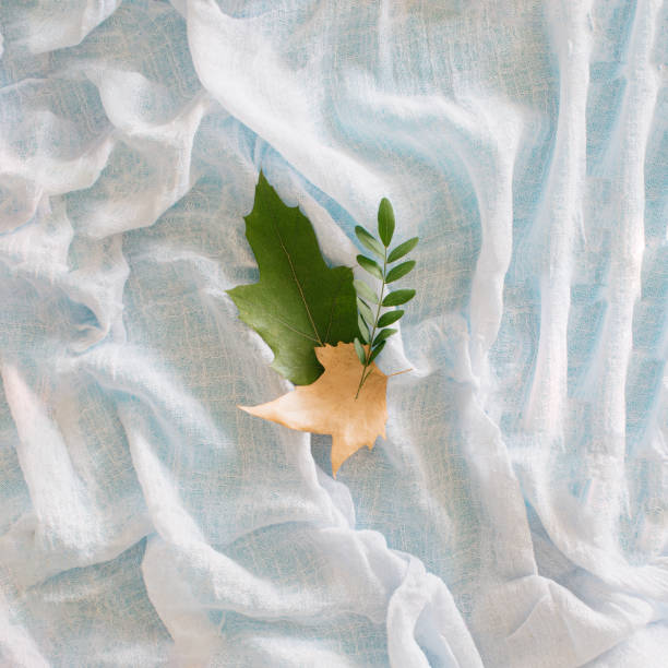istock leaves on a soft textile background.autumn colors and vibes 1338852869