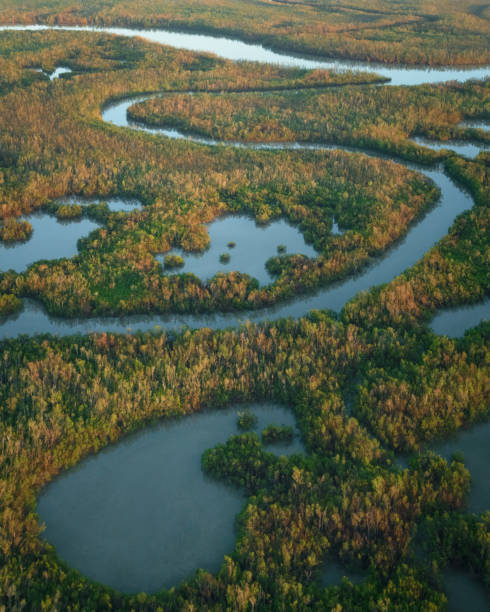 istock Marco Island Aerials 1338854297