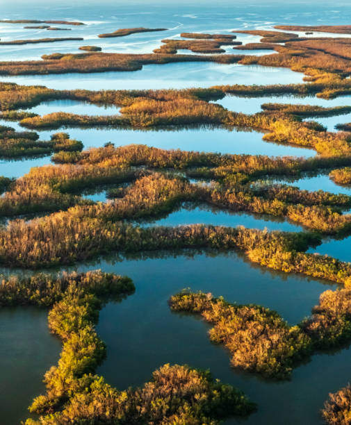 istock Marco Island Aerials 1338854421