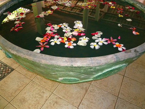 Tropical flowers floating in big stone bowl, spa concept