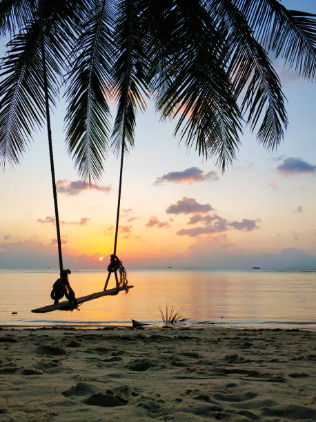 istock A swing hangs on a palm tree on a tropical sandy beach by the ocean. Sunset on the beach 1338856934