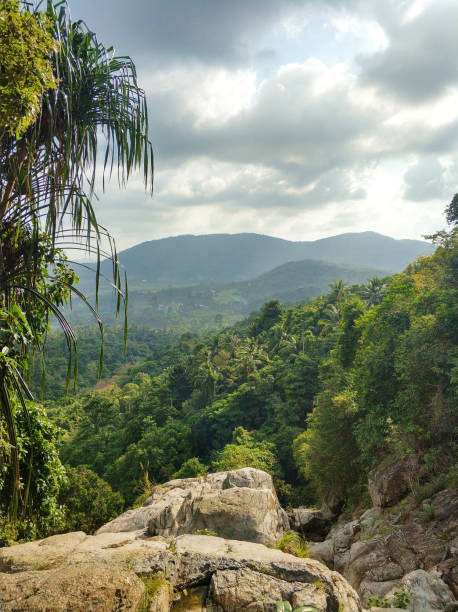 istock Jungle valley landscape view from the cliff 1338857073