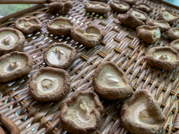 champignons shiitake séchant dans un panier - shiitake mushroom mushroom dried food dried plant photos et images de collection