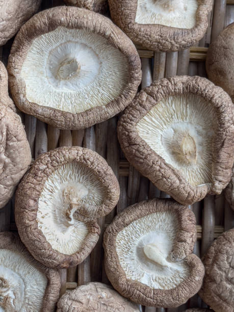 champignons shiitake séchant dans un panier - shiitake mushroom mushroom dried food dried plant photos et images de collection