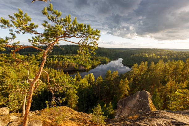 istock Beautiful autumn landscape with lake. 1338863160