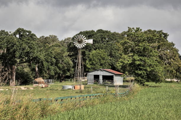 istock Near La Grange Texas 1338865315
