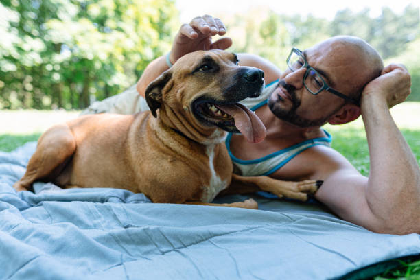 istock Man with his dog in the park 1338865472