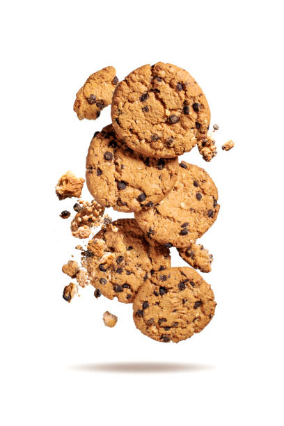 istock Fly oatmeal cookies 1338865508