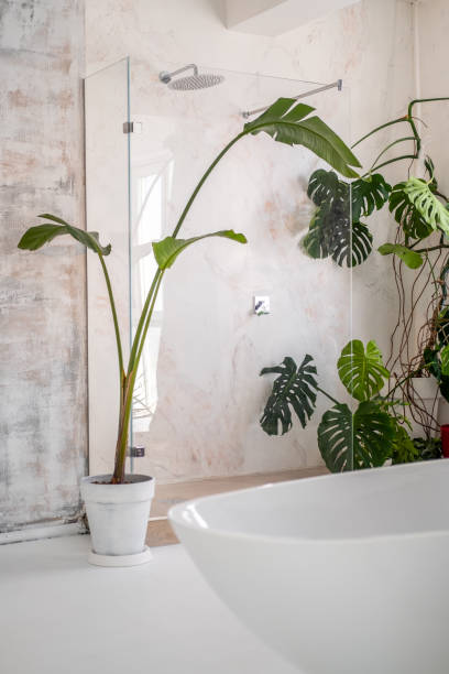 istock modern Loft-style bathroom interior, large indoor plants, concrete walls 1338866953