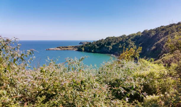istock Torbay coast on the South West Coast Path 1338870001