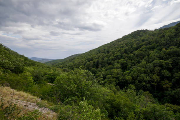 View from the hill to the Khapkhal Gorge, Crimea, Russia, August 15, 2021
