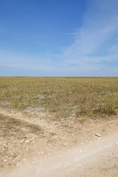 istock Road in a field with yellow grass 1338874225