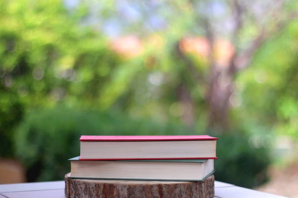 istock Books in a garden 1338874349