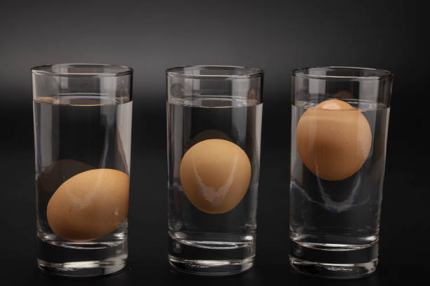 istock Eggs in water test on transparent glass , Egg freshness test on black background , Bad egg floats in water 1338874690