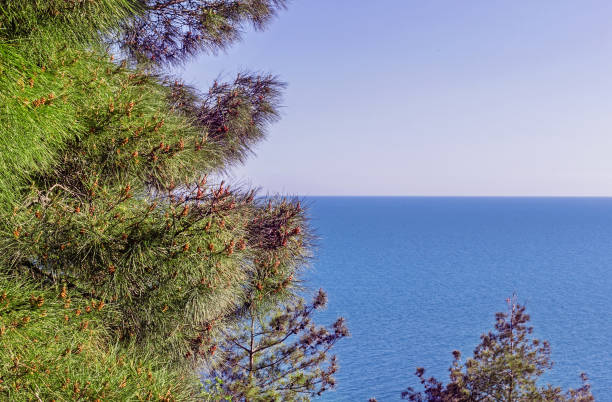 istock Rel horizon line on sea 1338874699