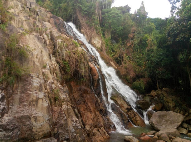 istock Jungle waterfall. Thailand nature, tropical jungle a 1338876048