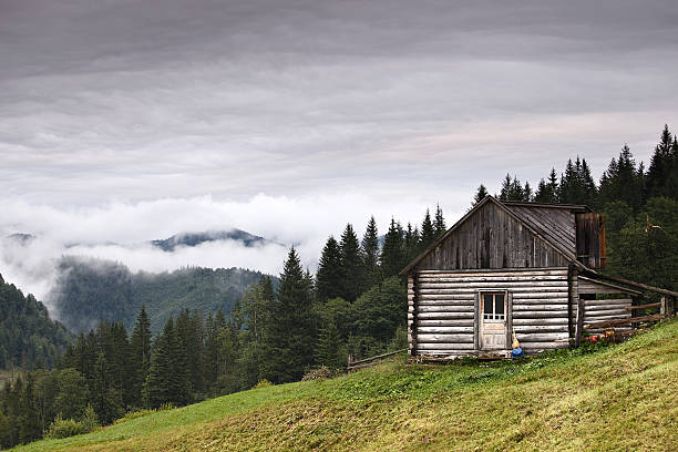 istock Abandoned wooden house 133887729