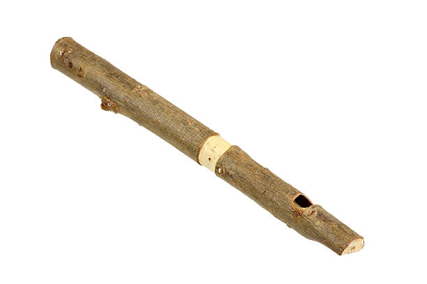 A wooden whistle made from a willow twig.  Isolated on white.