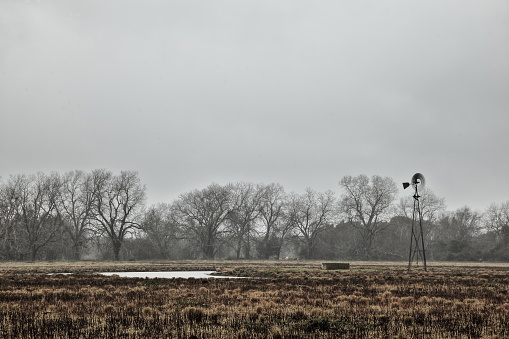 A windmill and pond on a winter day in Texas