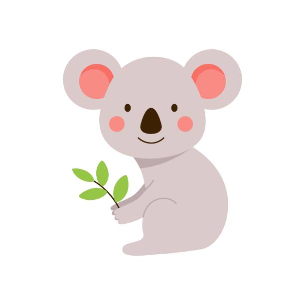 illustrations, cliparts, dessins animés et icônes de un petit koala moelleux est assis avec une brindille dans les mains - koala australia cute animal