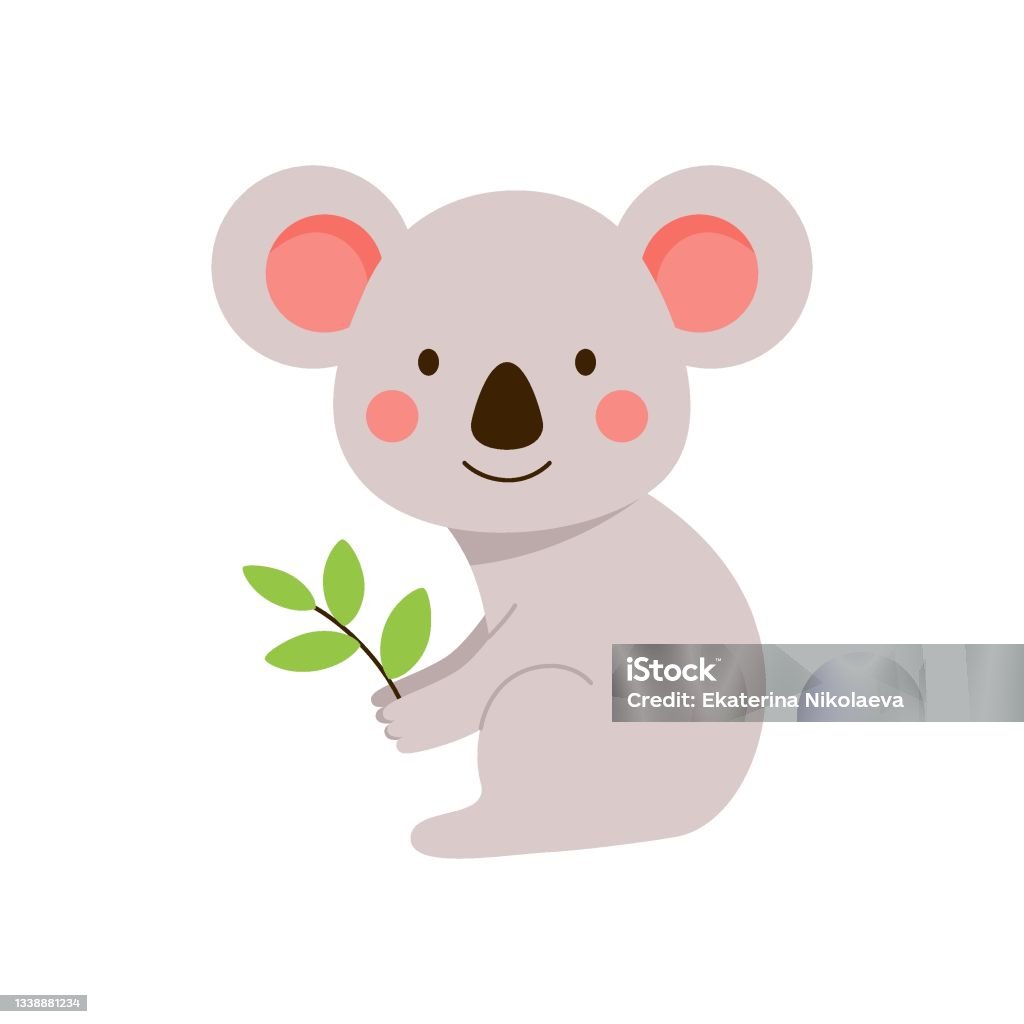 A fluffy little koala sits with a twig in his hands - Royaltyfri Australien vektorgrafik