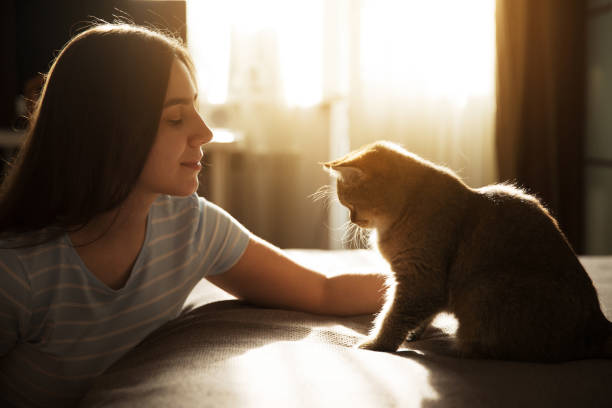 istock Young woman caresses her beloved red cat 1338882666