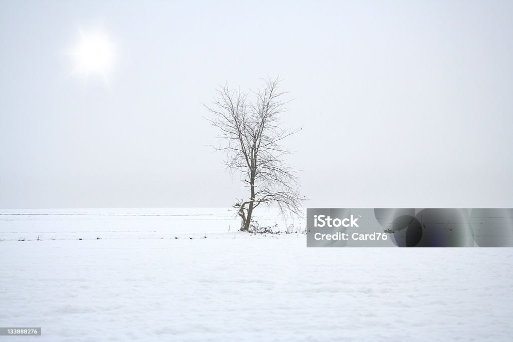 Temporada de Inverno - Royalty-free A nevar Foto de stock