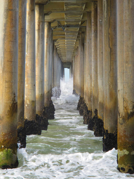 istock Huntington Beach Pier 1338882867