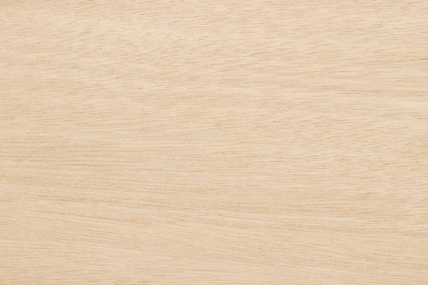 superficie de madera contrachapada en patrón natural con alta resolución. fondo de textura de grano de madera. - plywood wood grain panel birch fotografías e imágenes de stock