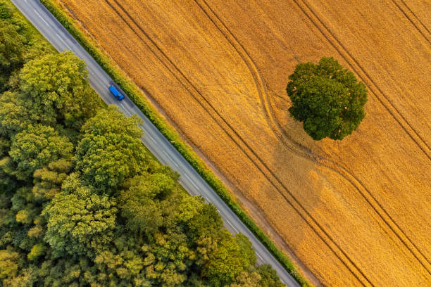 vista aerea dei campi estivi, staffordshire, inghilterra, regno unito - tree season photography color image foto e immagini stock