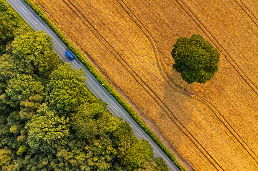 Wide angle aerial view of late summer fields and deciduous trees, and blue vehicle driving along country road.