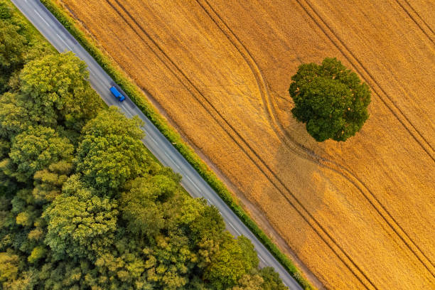 Aerial view of summer fields, Staffordshire, England, UK Wide angle aerial view of late summer fields and deciduous trees, and blue vehicle driving along country road. drone point of view stock pictures, royalty-free photos & images