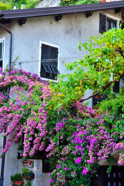 istock limone sul garda italy 1338886292