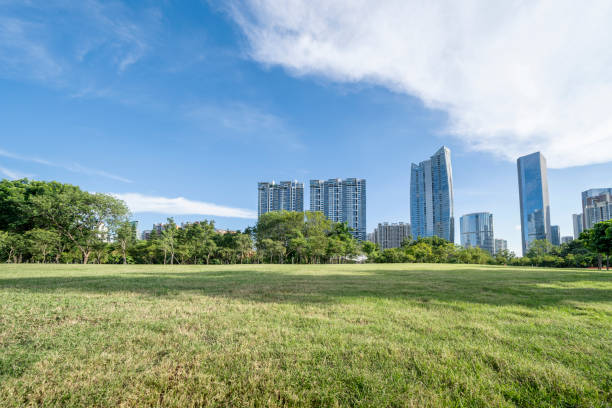 istock Grass, trees and distant buildings under blue sky and white clouds 1338887550