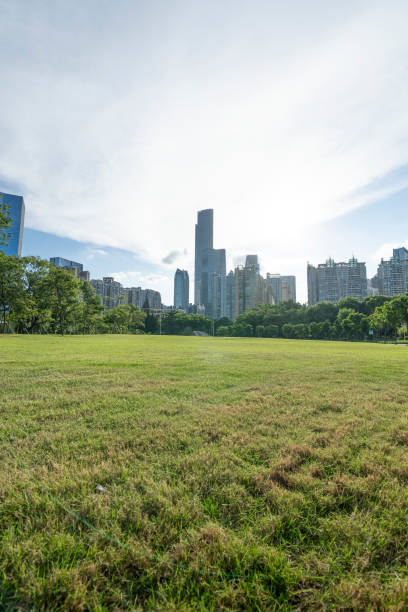 istock Grass, trees and distant buildings under blue sky and white clouds 1338887939