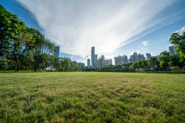 istock Grass, trees and distant buildings under blue sky and white clouds 1338887998