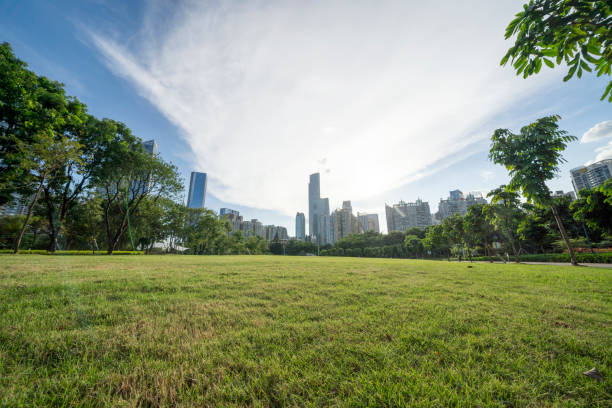 istock Grass, trees and distant buildings under blue sky and white clouds 1338888178