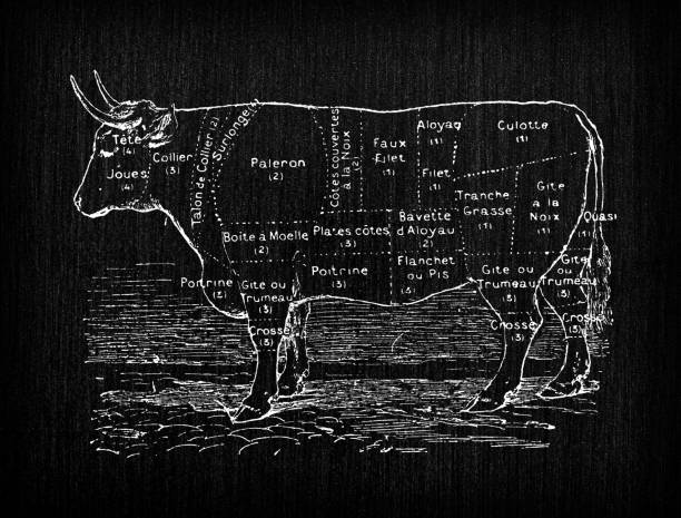 istock Antique old French engraving illustration: Ox beef meat section 1338890868