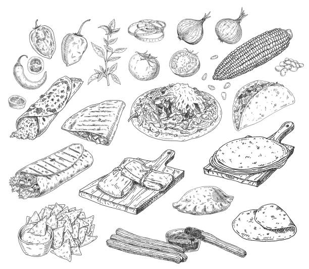 мексиканский традиционный набор блюд. векторная винтажная черная гравировка изолирована на белом - engraved image engraving basil herb stock illustrations