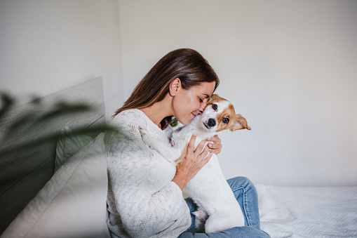 happy caucasian woman at home cuddling on bed with cute jack russell dog. Pets, love and relax at home