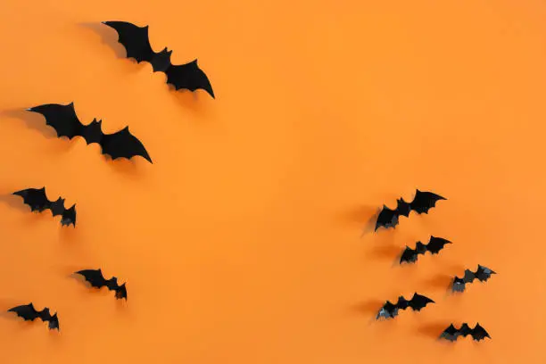 Photo of Halloween card with black bats on orange background. Banner for congratulations or invitation.