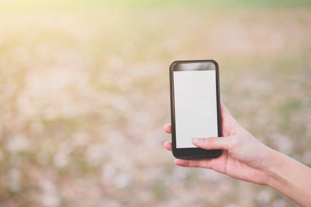istock Mock up image of hand holding mobile phone with blank white screen and blur background in the garden with copy space 1338891798