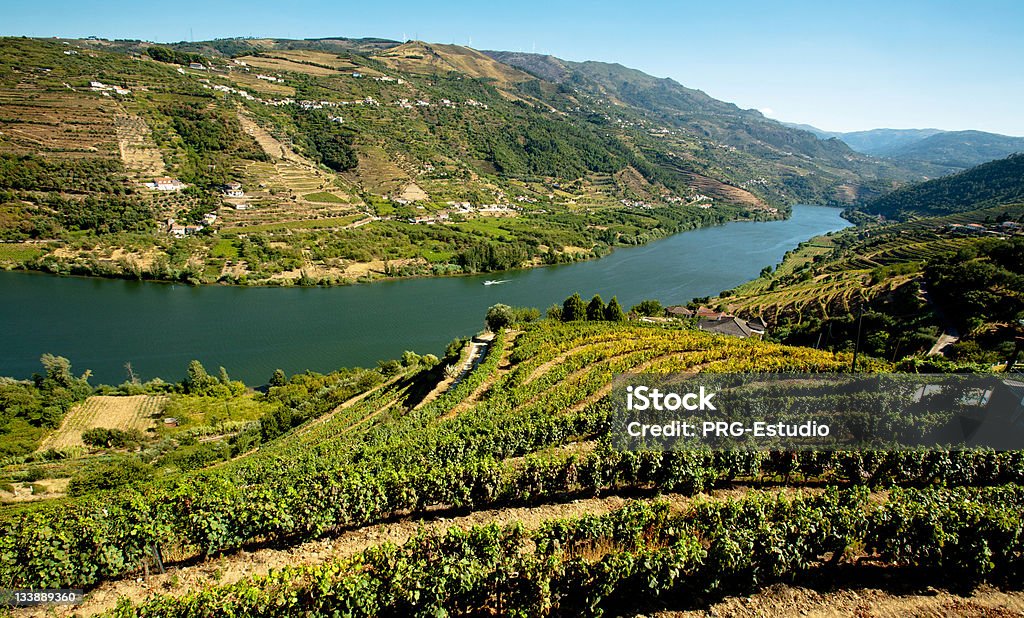 Douro Vinyards a - Foto stock royalty-free di Agricoltura