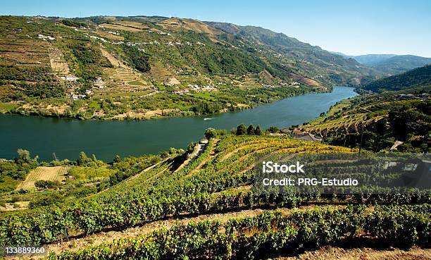 Vinyards W Douro - zdjęcia stockowe i więcej obrazów Bez ludzi - Bez ludzi, Chmura, Dolina