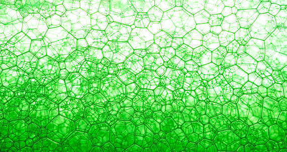 ciencia verde de la superficie celular, estructura celular Hydrilla, vista de la superficie de la hoja que muestra las células vegetales bajo el microscopio para la educación en el aula. photo